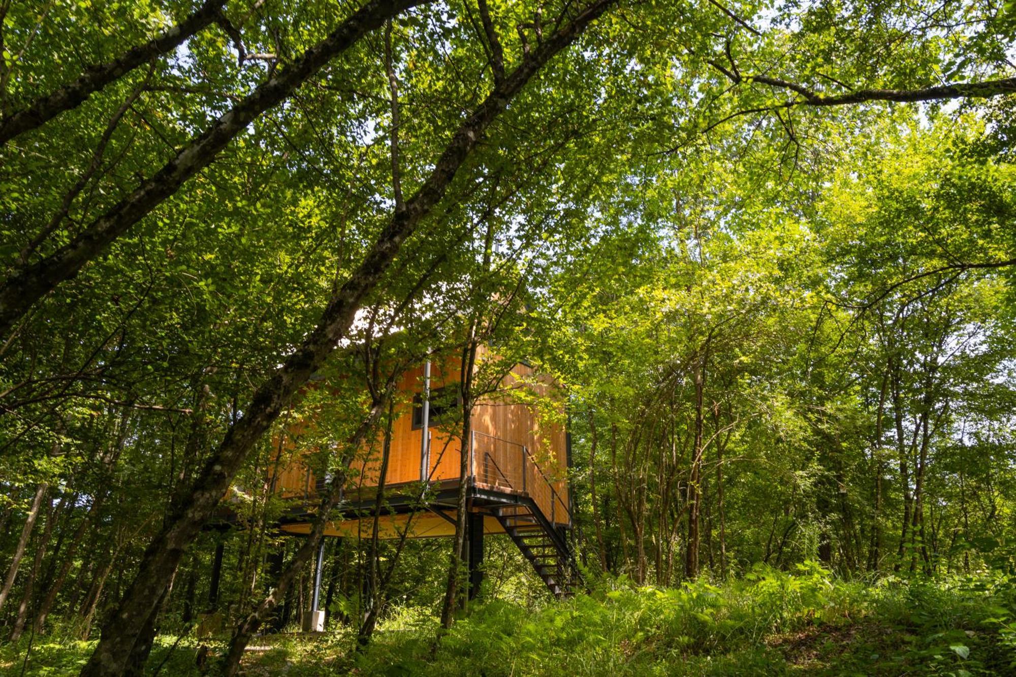 Tree Elements Treehouse Retreat Lejlighed Slunj Eksteriør billede