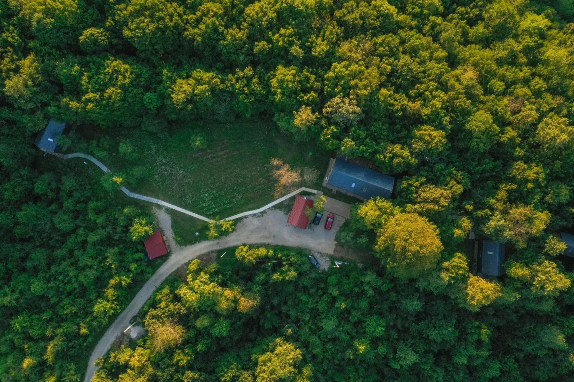 Tree Elements Treehouse Retreat Lejlighed Slunj Værelse billede
