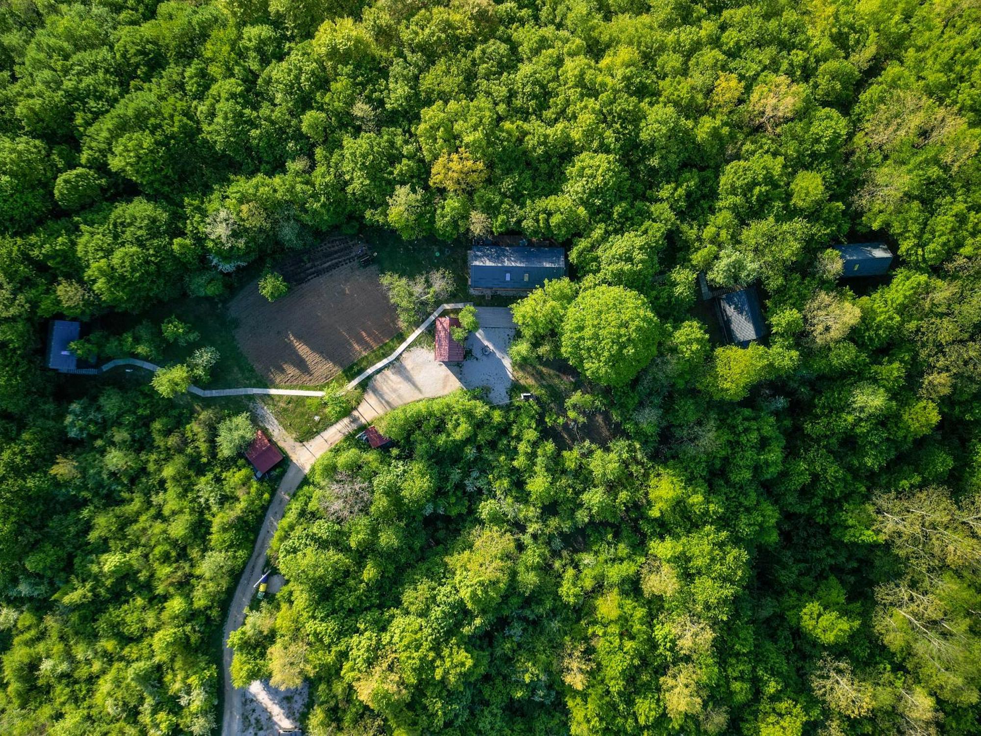 Tree Elements Treehouse Retreat Lejlighed Slunj Eksteriør billede